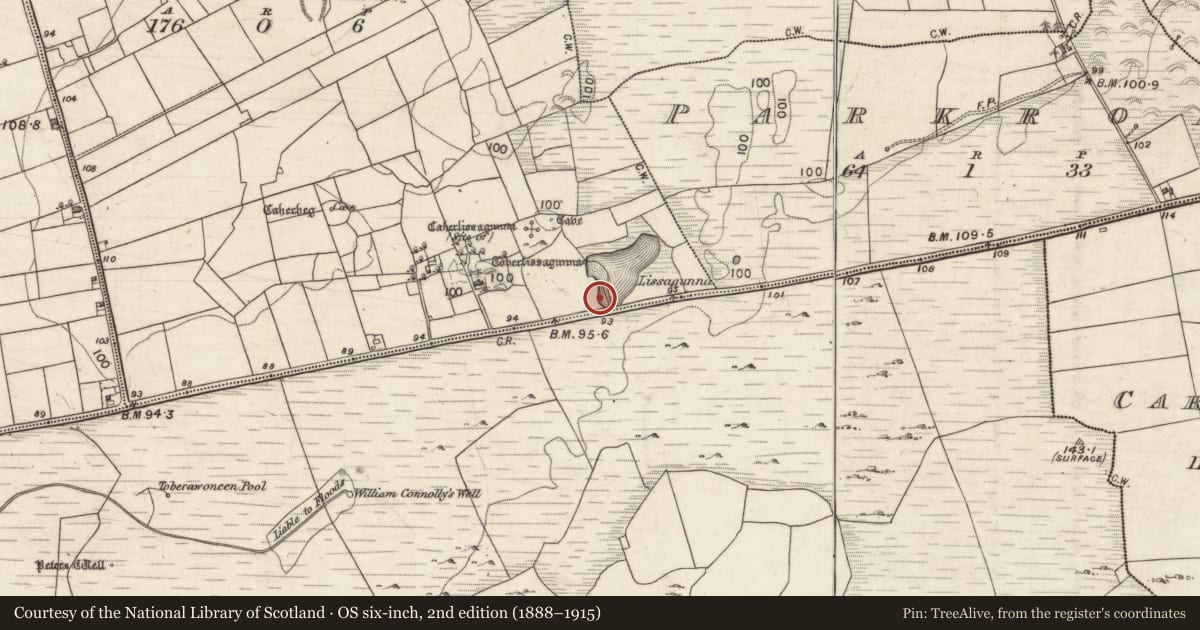 Ordnance Survey six-inch map, 2nd edition (1888–1915) covering the location of Fulacht fia, Ballynastaig, County Galway, with a pin at the register's coordinates