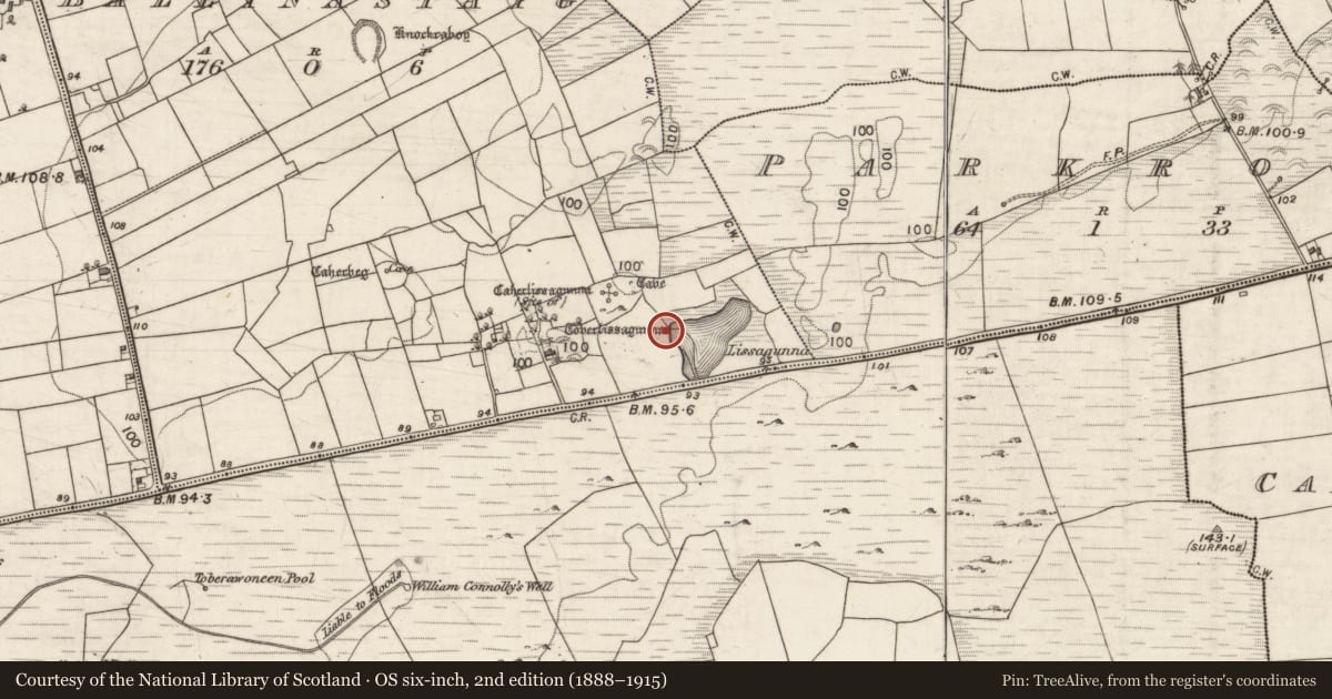 Ordnance Survey six-inch map, 2nd edition (1888–1915) covering the location of Well, Ballynastaig, County Galway, with a pin at the register's coordinates