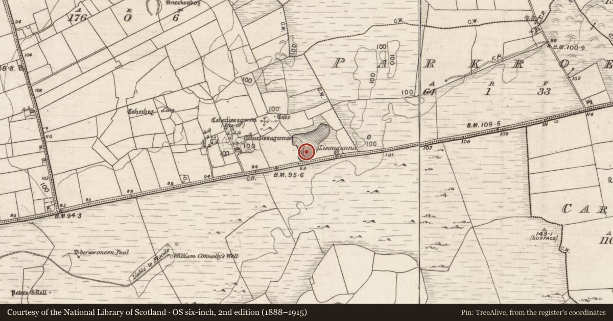 Ordnance Survey six-inch map, 2nd edition (1888–1915) covering the location of Fulacht fia, Ballynastaig, County Galway, with a pin at the register's coordinates