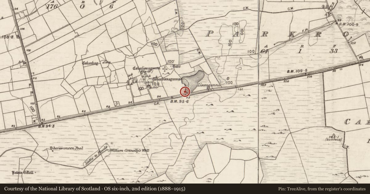 Ordnance Survey six-inch map, 2nd edition (1888–1915) covering the location of Earthwork, Ballynastaig, County Galway, with a pin at the register's coordinates