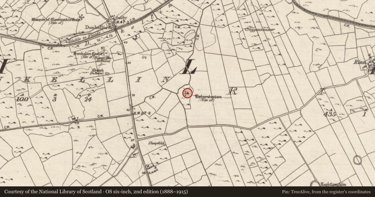 Ordnance Survey six-inch map, 2nd edition (1888–1915) covering the location of Ringfort - cashel, County Galway, with a pin at the register's coordinates