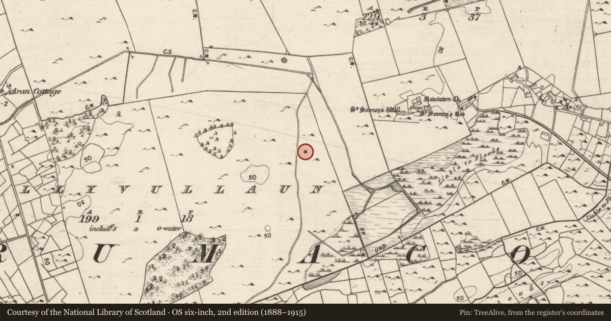 Ordnance Survey six-inch map, 2nd edition (1888–1915) covering the location of Ringfort - rath, Ballyvullaun, County Galway, with a pin at the register's coordinates