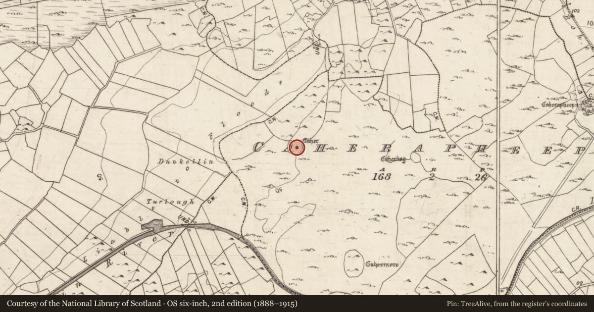 Ordnance Survey six-inch map, 2nd edition (1888–1915) covering the location of Ringfort - cashel, Caherapheepa, County Galway, with a pin at the register's coordinates