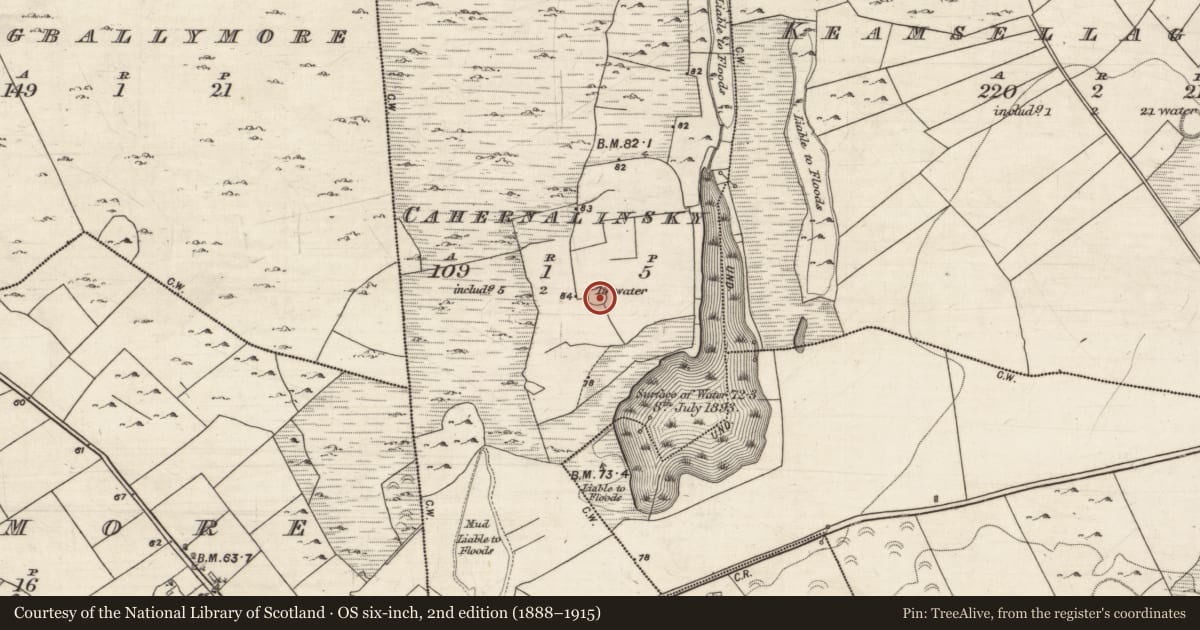 Ordnance Survey six-inch map, 2nd edition (1888–1915) covering the location of Enclosure, Cahernalinsky, County Galway, with a pin at the register's coordinates
