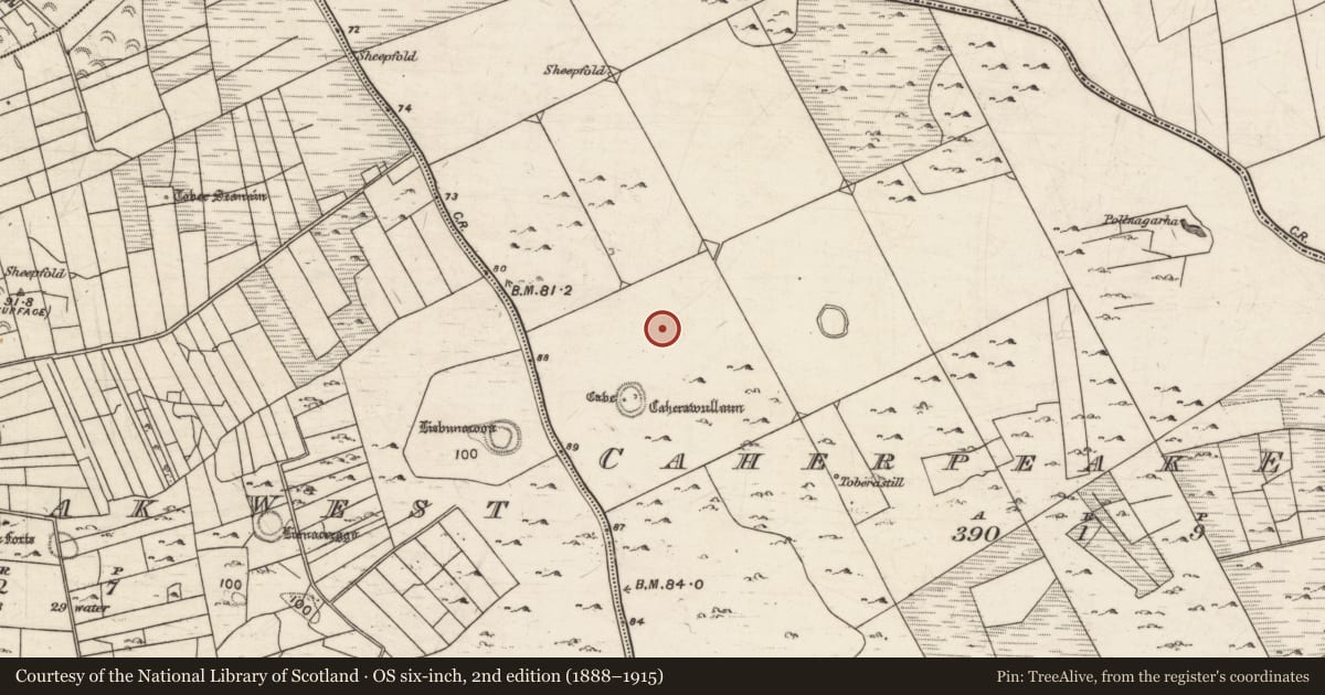 Ordnance Survey six-inch map, 2nd edition (1888–1915) covering the location of Ringfort - cashel, Caherpeak East, County Galway, with a pin at the register's coordinates