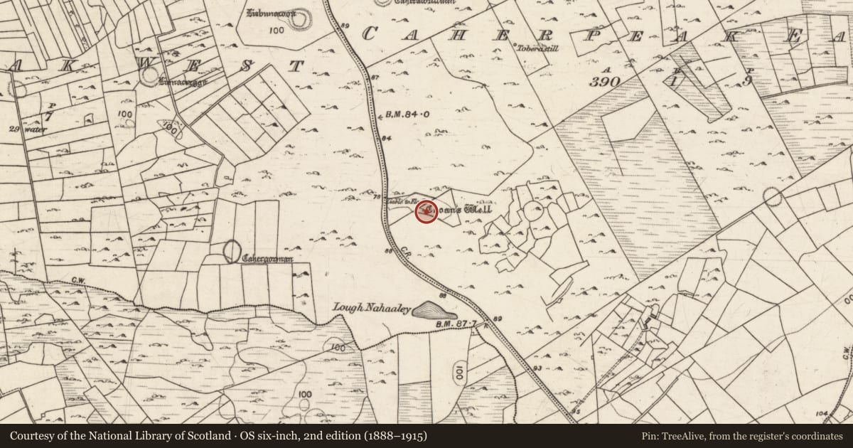 Ordnance Survey six-inch map, 2nd edition (1888–1915) covering the location of Well, Caherpeak East, County Galway, with a pin at the register's coordinates