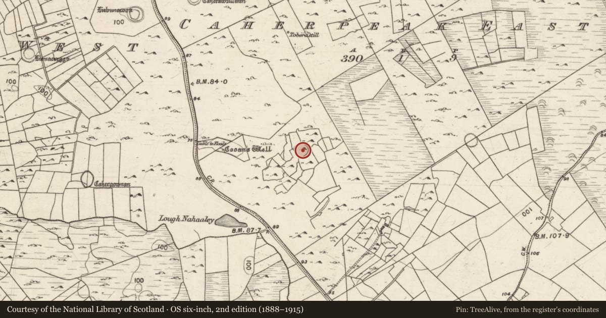 Ordnance Survey six-inch map, 2nd edition (1888–1915) covering the location of Ringfort - cashel, Caherpeak East, County Galway, with a pin at the register's coordinates