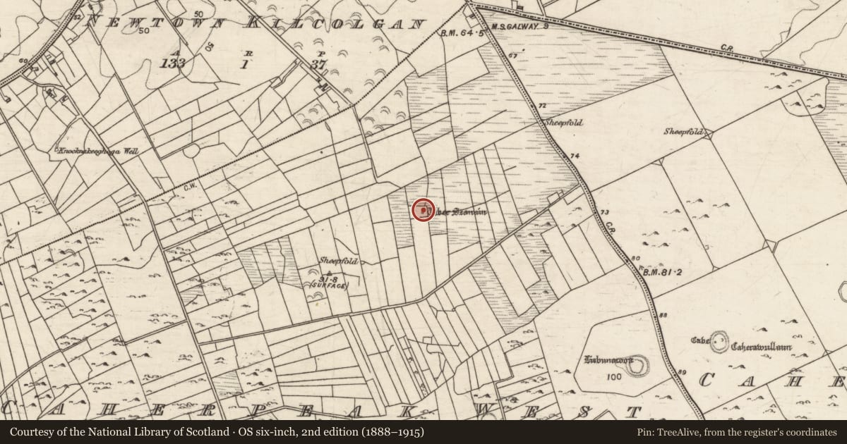 Ordnance Survey six-inch map, 2nd edition (1888–1915) covering the location of Well, Caherpeak West, County Galway, with a pin at the register's coordinates
