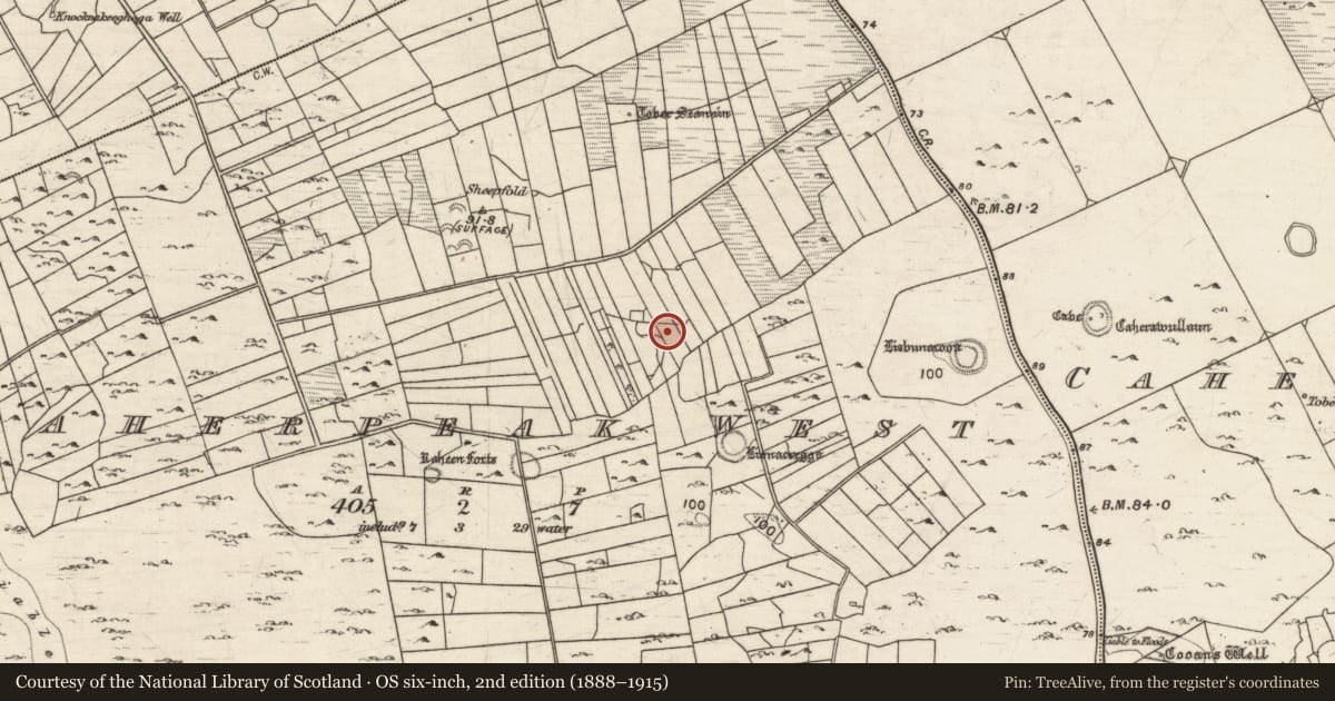 Ordnance Survey six-inch map, 2nd edition (1888–1915) covering the location of Sheepfold, Caherpeak West, County Galway, with a pin at the register's coordinates