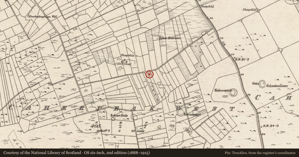 Ordnance Survey six-inch map, 2nd edition (1888–1915) covering the location of Quarry, Caherpeak West, County Galway, with a pin at the register's coordinates