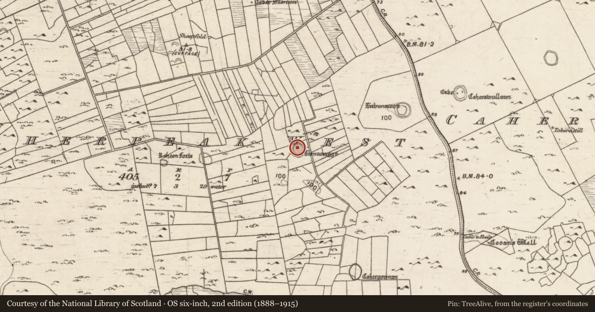 Ordnance Survey six-inch map, 2nd edition (1888–1915) covering the location of Ringfort - cashel, Caherpeak West, County Galway, with a pin at the register's coordinates