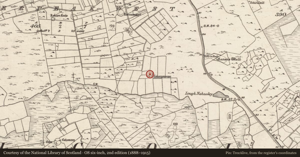 Ordnance Survey six-inch map, 2nd edition (1888–1915) covering the location of Ringfort - cashel, Caherpeak West, County Galway, with a pin at the register's coordinates