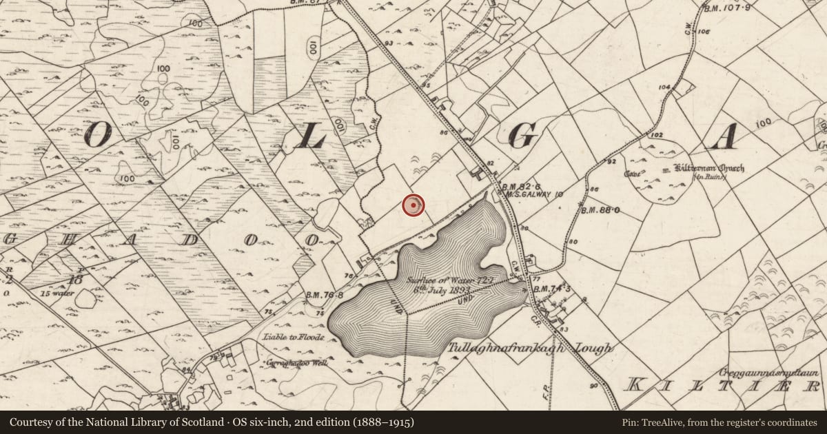 Ordnance Survey six-inch map, 2nd edition (1888–1915) covering the location of Ringfort - rath, Caherpeak West, County Galway, with a pin at the register's coordinates