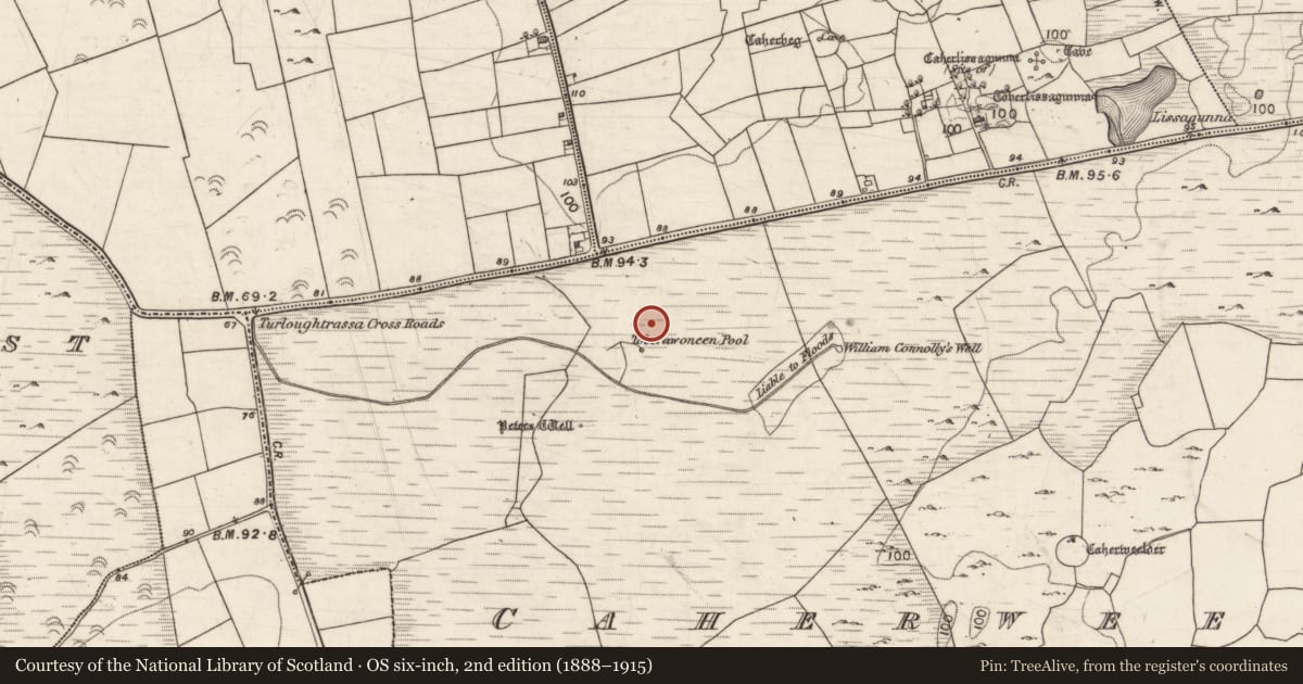 Ordnance Survey six-inch map, 2nd edition (1888–1915) covering the location of Fulacht fia, Caherweelder, County Galway, with a pin at the register's coordinates