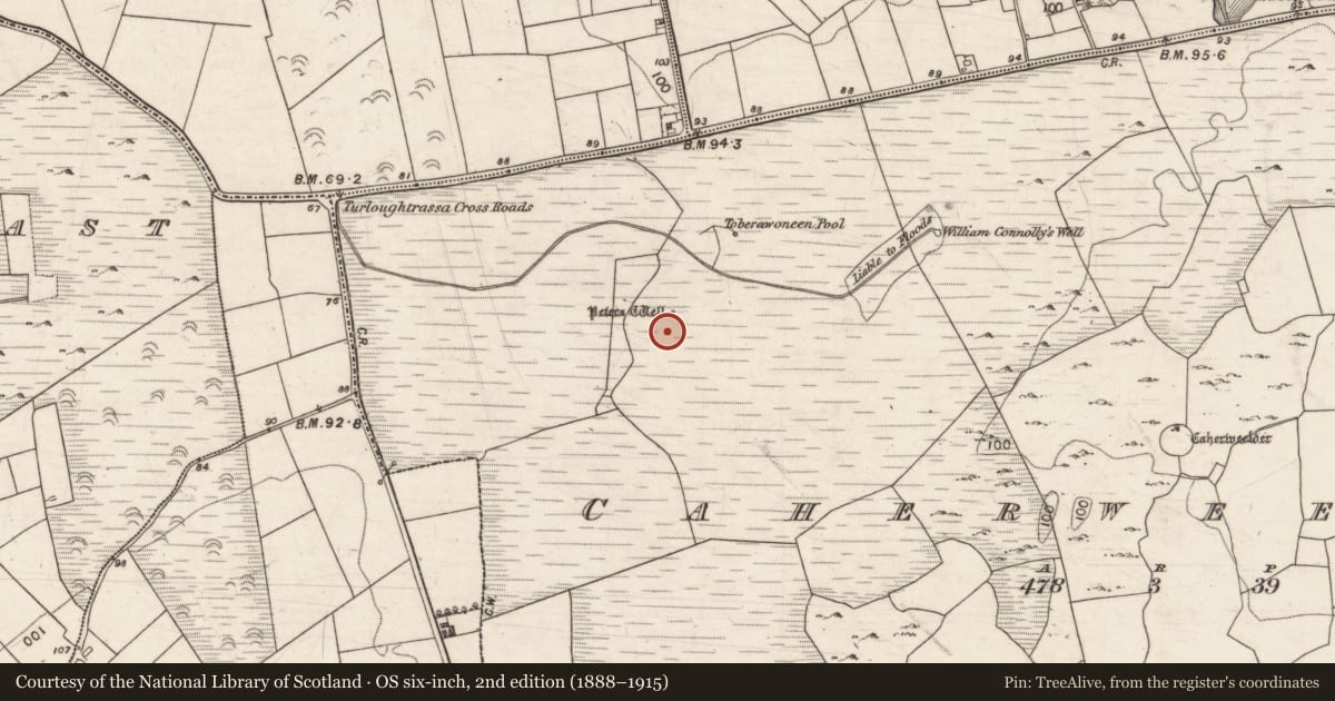 Ordnance Survey six-inch map, 2nd edition (1888–1915) covering the location of Well, Caherweelder, County Galway, with a pin at the register's coordinates