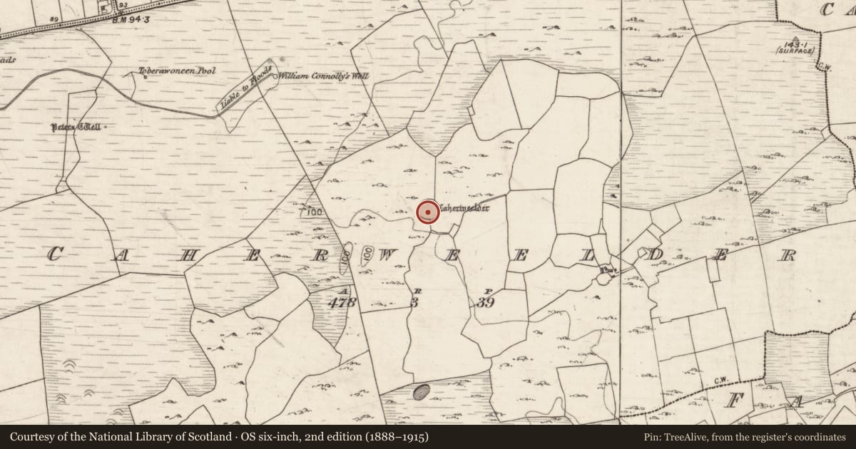 Ordnance Survey six-inch map, 2nd edition (1888–1915) covering the location of Ringfort - cashel, Caherweelder, County Galway, with a pin at the register's coordinates