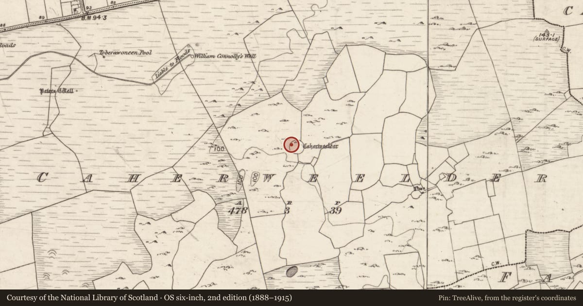 Ordnance Survey six-inch map, 2nd edition (1888–1915) covering the location of Designed landscape - folly, Caherweelder, County Galway, with a pin at the register's coordinates