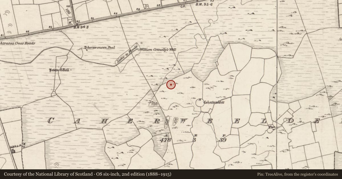 Ordnance Survey six-inch map, 2nd edition (1888–1915) covering the location of Mound, Caherweelder, County Galway, with a pin at the register's coordinates