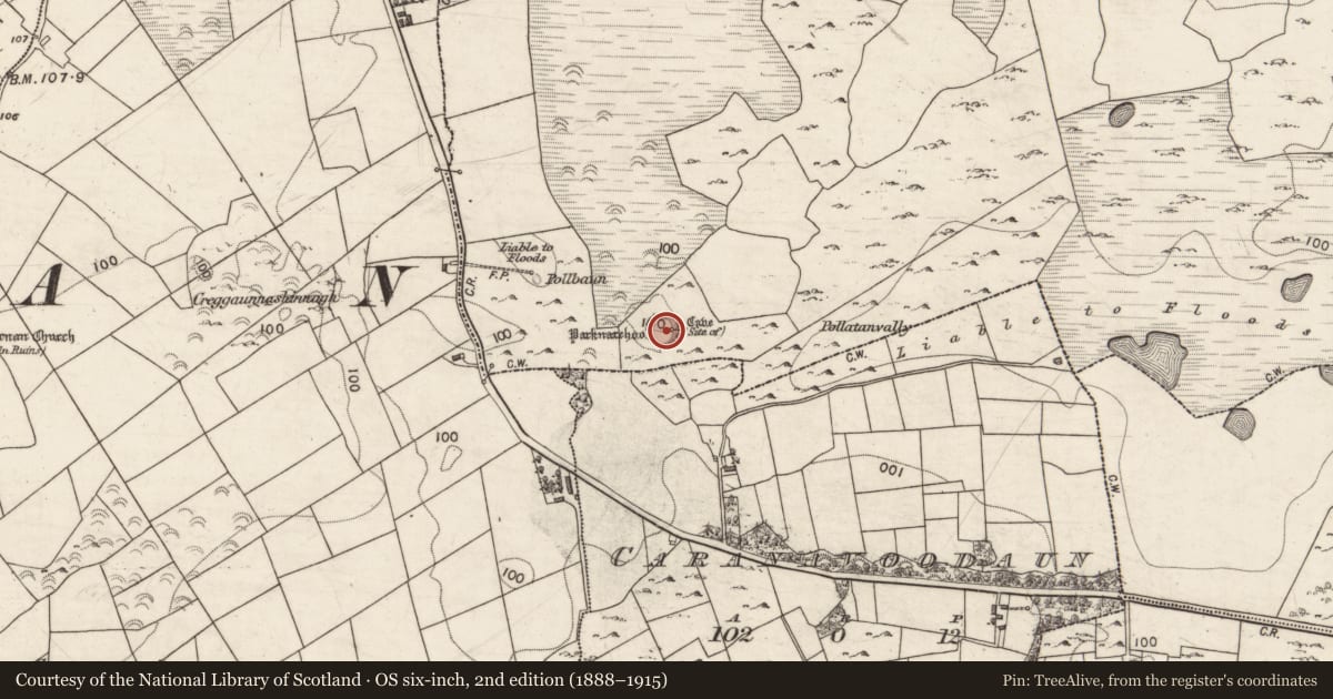 Ordnance Survey six-inch map, 2nd edition (1888–1915) covering the location of Souterrain, Caherweelder, County Galway, with a pin at the register's coordinates