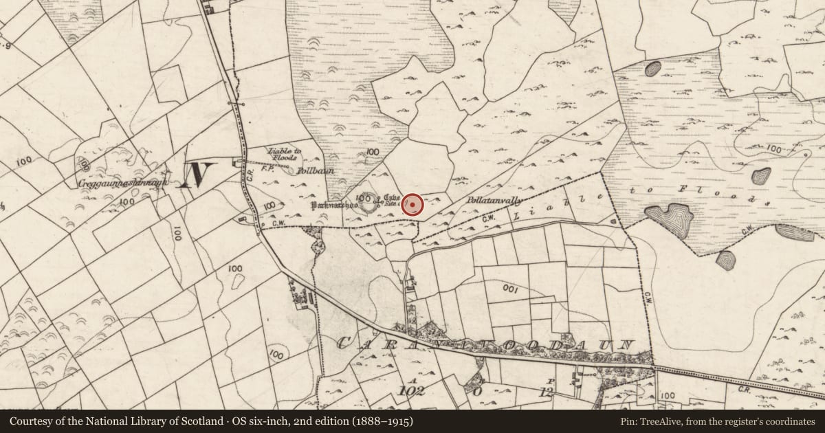 Ordnance Survey six-inch map, 2nd edition (1888–1915) covering the location of House - 18th/19th century, Caherweelder, County Galway, with a pin at the register's coordinates