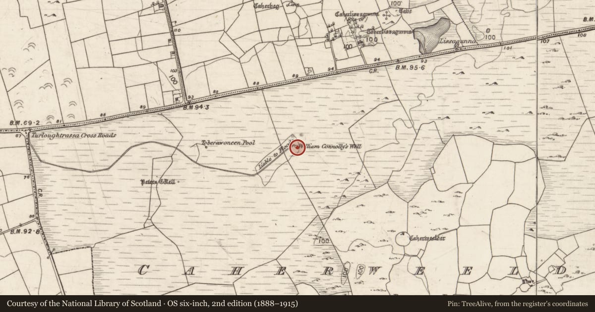 Ordnance Survey six-inch map, 2nd edition (1888–1915) covering the location of Well, Caherweelder, County Galway, with a pin at the register's coordinates