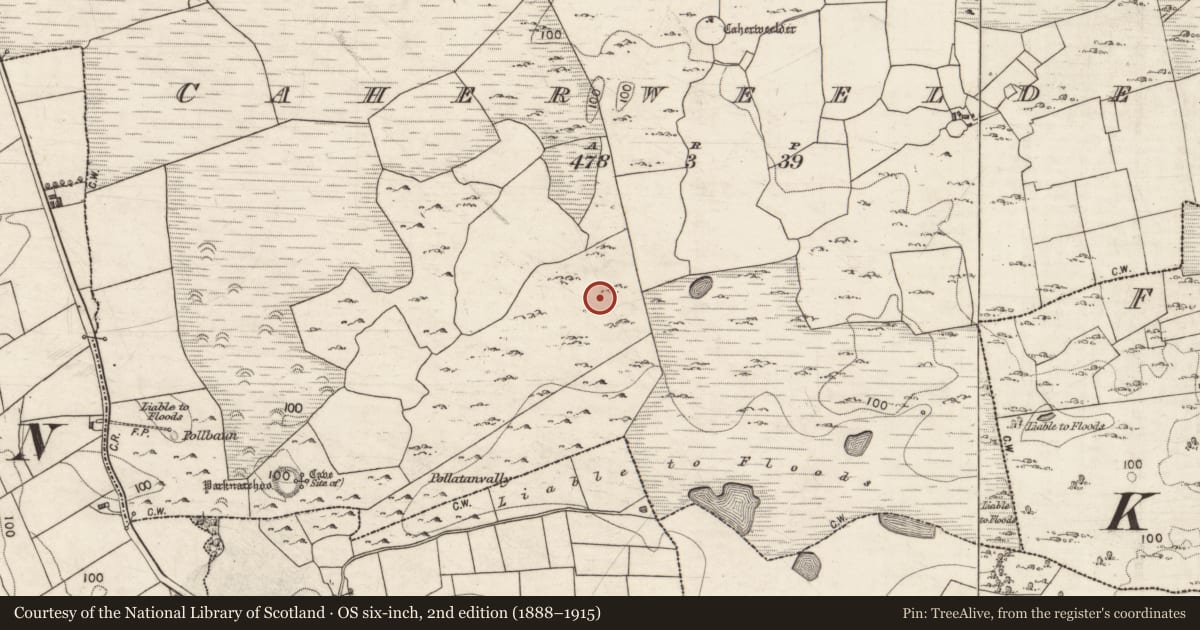 Ordnance Survey six-inch map, 2nd edition (1888–1915) covering the location of House - 18th/19th century, Caherweelder, County Galway, with a pin at the register's coordinates