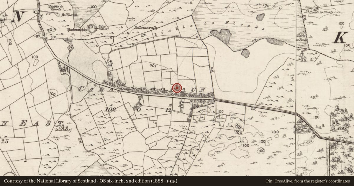 Ordnance Survey six-inch map, 2nd edition (1888–1915) covering the location of Ringfort - cashel, Caranavoodaun, County Galway, with a pin at the register's coordinates