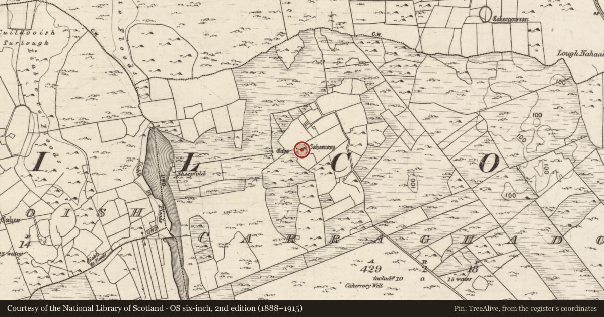 Ordnance Survey six-inch map, 2nd edition (1888–1915) covering the location of Souterrain, Carraghadoo, County Galway, with a pin at the register's coordinates