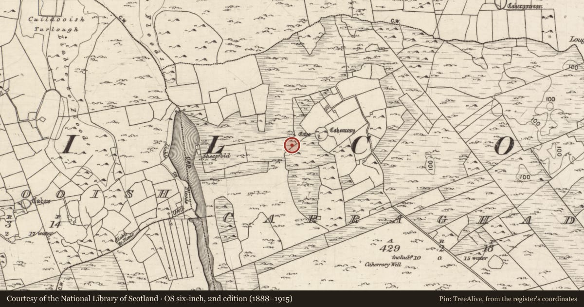 Ordnance Survey six-inch map, 2nd edition (1888–1915) covering the location of Souterrain, Carraghadoo, County Galway, with a pin at the register's coordinates