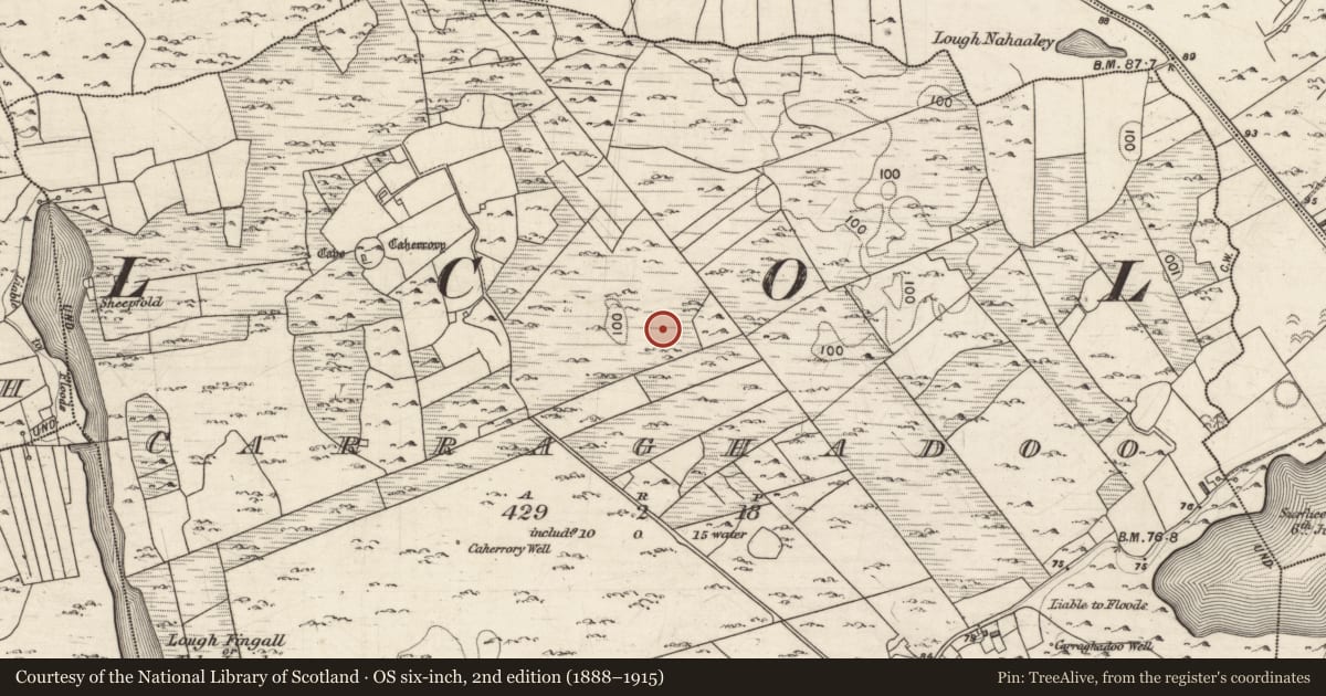Ordnance Survey six-inch map, 2nd edition (1888–1915) covering the location of House - indeterminate date, Carraghadoo, County Galway, with a pin at the register's coordinates