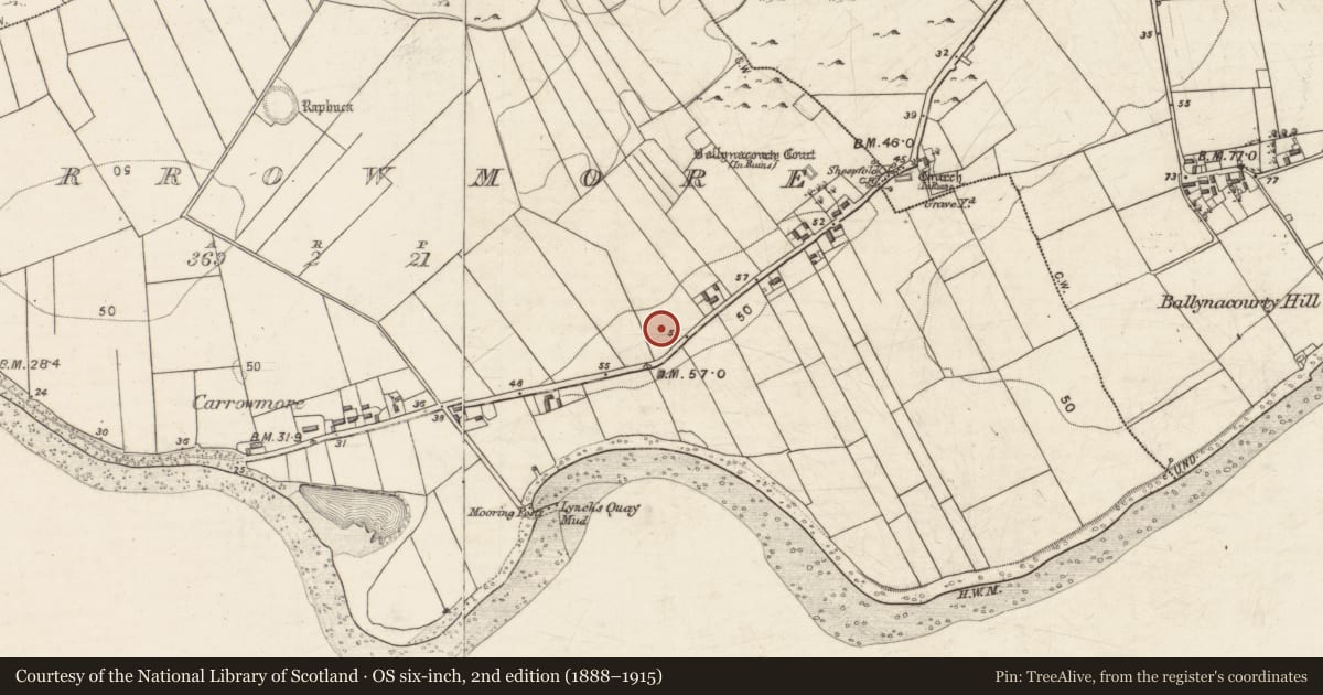 Ordnance Survey six-inch map, 2nd edition (1888–1915) covering the location of Ringfort - rath, Carrowmore (Ballynacourty ED ), County Galway, with a pin at the register's coordinates