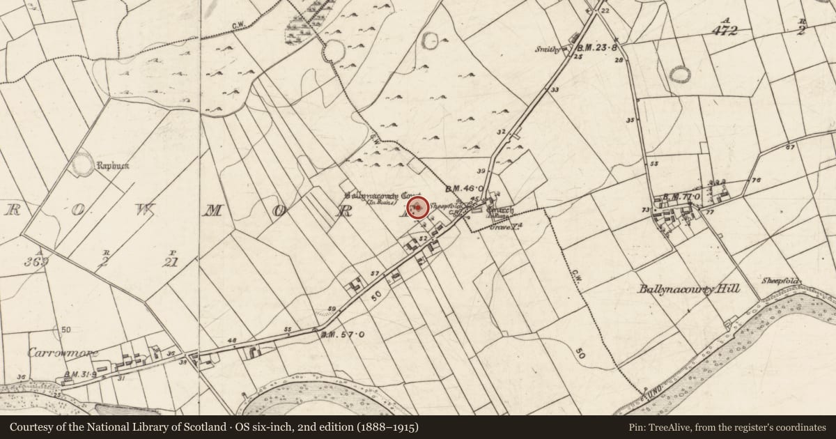 Ordnance Survey six-inch map, 2nd edition (1888–1915) covering the location of Castle - hall-house, Carrowmore (Ballynacourty ED ), County Galway, with a pin at the register's coordinates