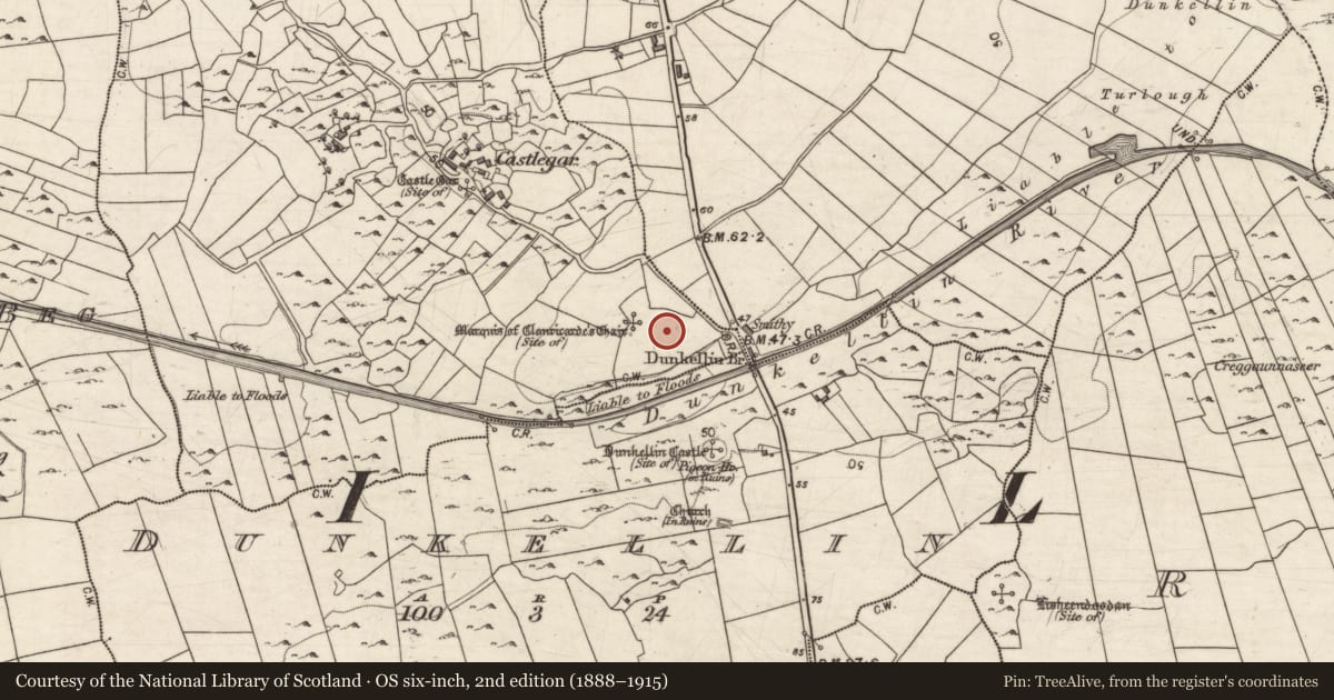 Ordnance Survey six-inch map, 2nd edition (1888–1915) covering the location of Enclosure - large enclosure, Castlegar, County Galway, with a pin at the register's coordinates