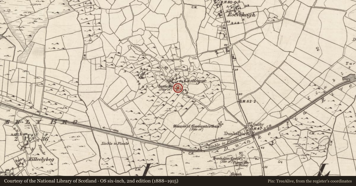 Ordnance Survey six-inch map, 2nd edition (1888–1915) covering the location of Castle - unclassified, Castlegar, County Galway, with a pin at the register's coordinates
