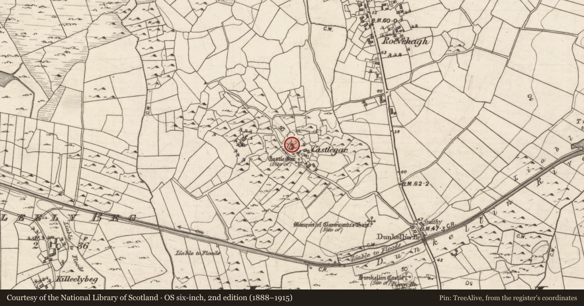 Ordnance Survey six-inch map, 2nd edition (1888–1915) covering the location of Souterrain, Castlegar, County Galway, with a pin at the register's coordinates