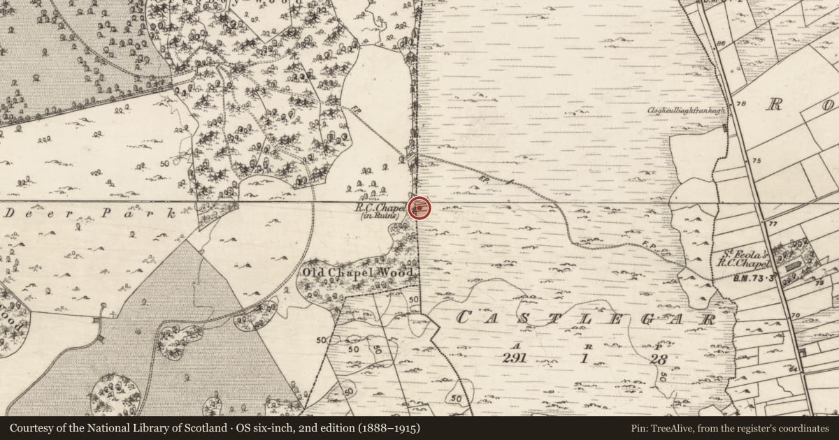Ordnance Survey six-inch map, 2nd edition (1888–1915) covering the location of Chapel, Castlegar, County Galway, with a pin at the register's coordinates