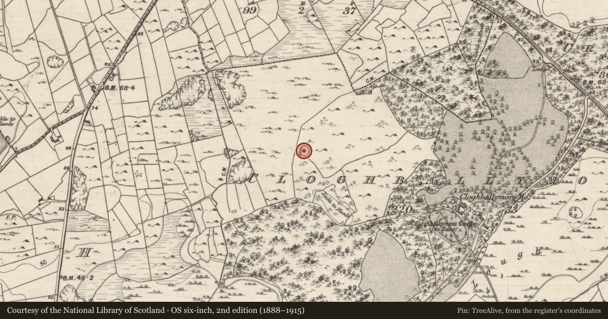 Ordnance Survey six-inch map, 2nd edition (1888–1915) covering the location of Ringfort - cashel, Cloghballymore, County Galway, with a pin at the register's coordinates