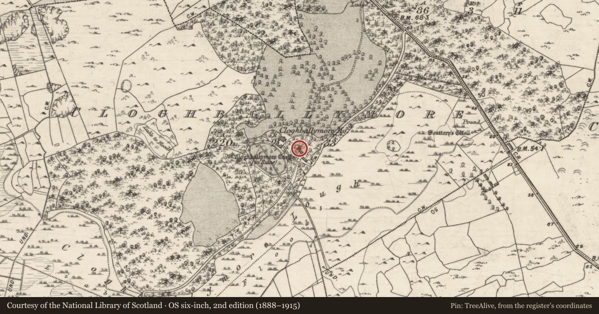 Ordnance Survey six-inch map, 2nd edition (1888–1915) covering the location of Castle - tower house, Cloghballymore, County Galway, with a pin at the register's coordinates