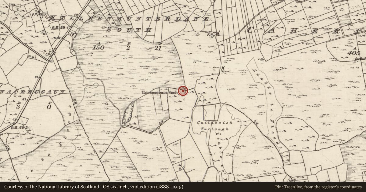 Ordnance Survey six-inch map, 2nd edition (1888–1915) covering the location of Ringfort - cashel, Cuildooish, Killeenmunterlane South, County Galway, with a pin at the register's coordinates