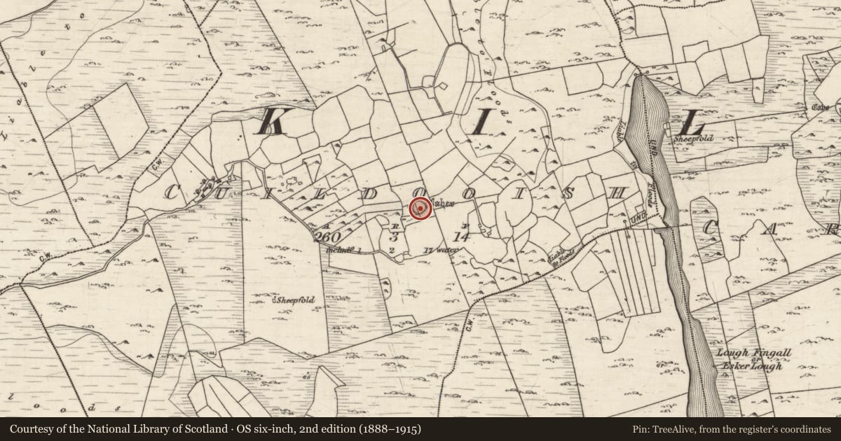 Ordnance Survey six-inch map, 2nd edition (1888–1915) covering the location of Ringfort - cashel, Cuildooish, County Galway, with a pin at the register's coordinates