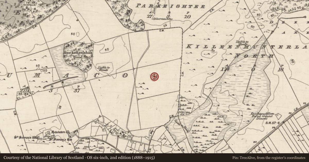 Ordnance Survey six-inch map, 2nd edition (1888–1915) covering the location of Ringfort - cashel, Drumacoo, County Galway, with a pin at the register's coordinates