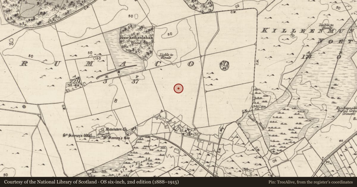 Ordnance Survey six-inch map, 2nd edition (1888–1915) covering the location of Penitential station, Drumacoo, County Galway, with a pin at the register's coordinates