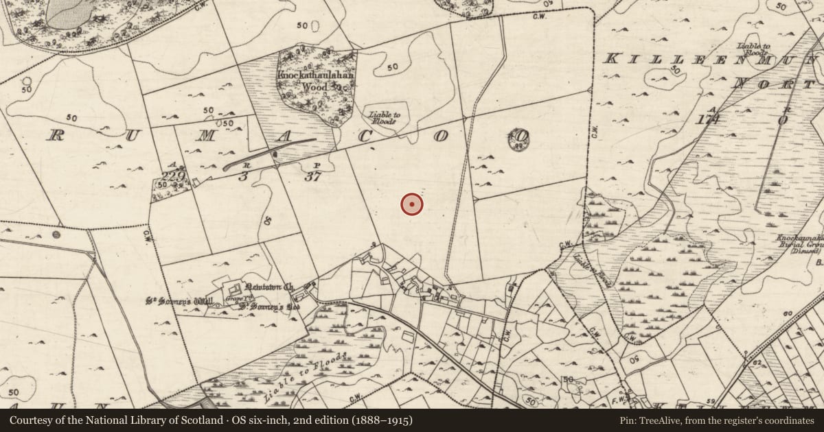 Ordnance Survey six-inch map, 2nd edition (1888–1915) covering the location of Penitential station, Drumacoo, County Galway, with a pin at the register's coordinates