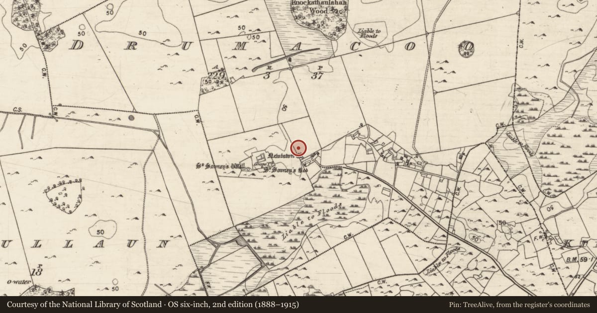Ordnance Survey six-inch map, 2nd edition (1888–1915) covering the location of Bullaun stone, Drumacoo, County Galway, with a pin at the register's coordinates