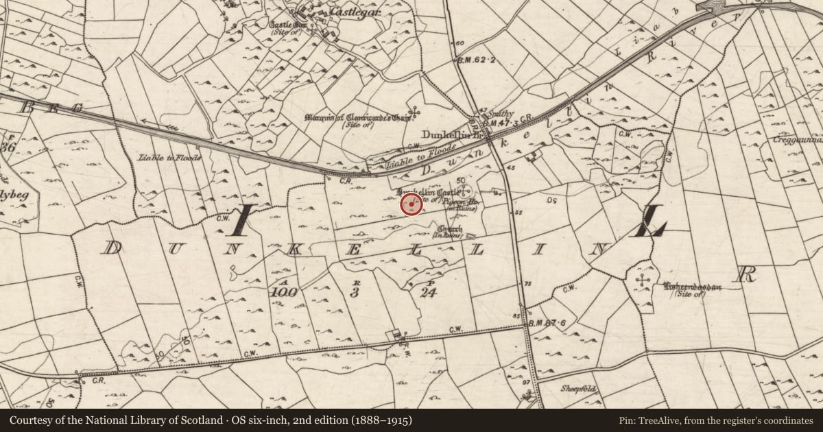Ordnance Survey six-inch map, 2nd edition (1888–1915) covering the location of Settlement cluster, Dunkellin, County Galway, with a pin at the register's coordinates
