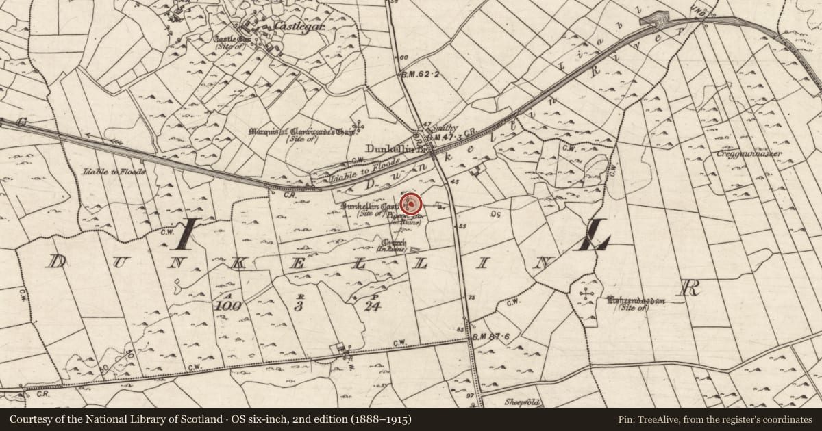 Ordnance Survey six-inch map, 2nd edition (1888–1915) covering the location of Castle - tower house, Dunkellin, County Galway, with a pin at the register's coordinates
