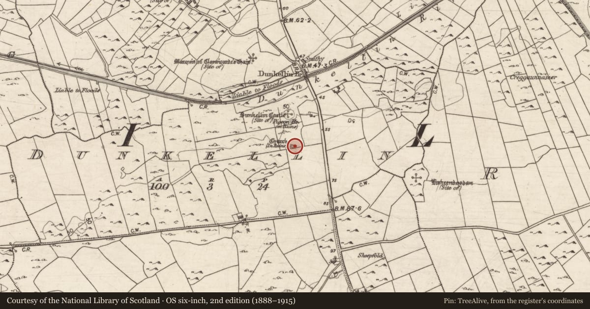Ordnance Survey six-inch map, 2nd edition (1888–1915) covering the location of Church, Dunkellin, County Galway, with a pin at the register's coordinates