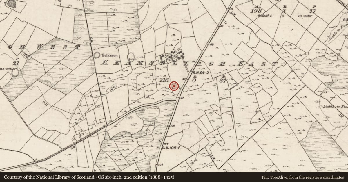 Ordnance Survey six-inch map, 2nd edition (1888–1915) covering the location of Ringfort - cashel, Keamsellagh East, County Galway, with a pin at the register's coordinates