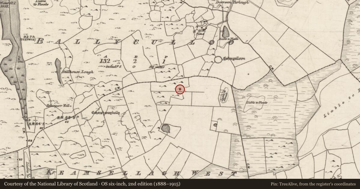 Ordnance Survey six-inch map, 2nd edition (1888–1915) covering the location of Enclosure, Keamsellagh West, County Galway, with a pin at the register's coordinates