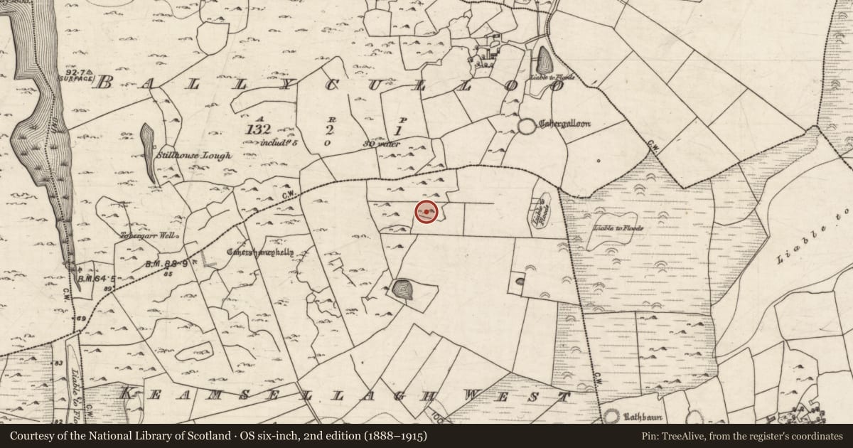 Ordnance Survey six-inch map, 2nd edition (1888–1915) covering the location of Enclosure, Keamsellagh West, County Galway, with a pin at the register's coordinates